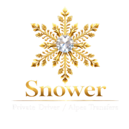logo snower transparent